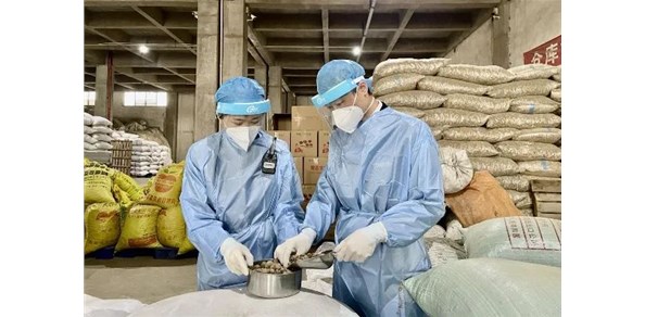 一文读懂进口中药材通关流程